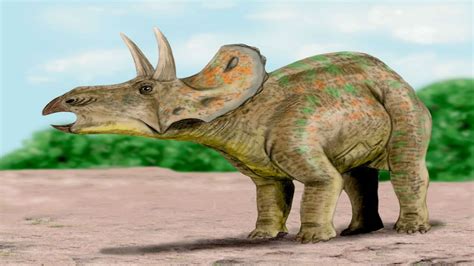Triceratops Interesting Facts About The Three Horned Dinosaur