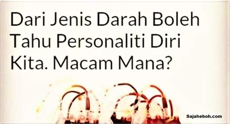 Jadi jom kita mengetahui personaliti kucing mengikut warna bulu mereka. Kenali Sifat Dan Personaliti Seseorang Melalui Jenis Darah ...