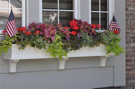 This tall red and purple leafed plant grows nice and tall and works as a great they like a lot of cool sun and water thriving in the spring. Midwest summer window box | Window Boxes | Pinterest ...