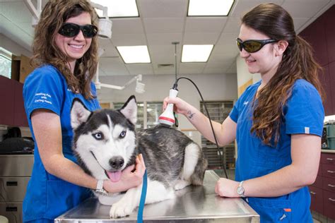 Our team of compassionate veterinary professionals is committed to serving every one of your pet's needs. Best Raleigh Vet | Complete Pet Care Animal Hospital