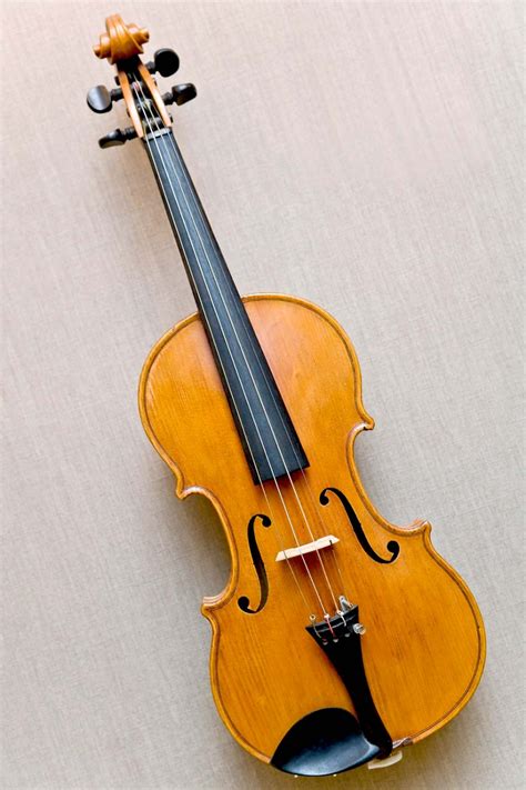 Violin Pics Linuxmint Image Search Results In 2020 Violin Violin