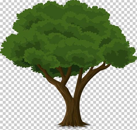 Animation Tree Png Clipart Android Animation Child Forest Grass