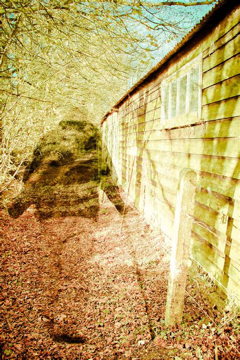 Woodland Ghost Photograph By Tom Gowanlock Pixels
