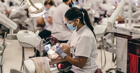 Study A Bachelor Of Dental Surgery Science And Dentistry In Qld At Jcu