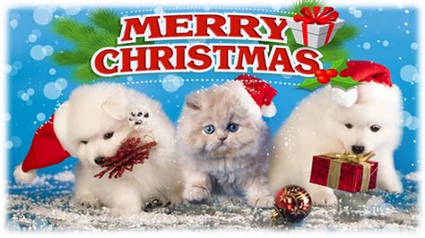 Christmas Kitten And Puppy Surprise Kids Opening Christmas Presents