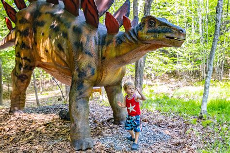 Dino Roar Valley Lake George Expedition Park