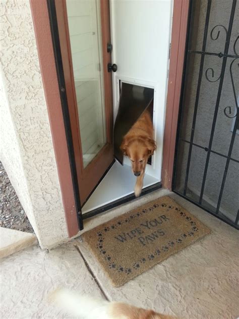 Pet Shops Detachable Doggie Door In Or Out Pet Products Phoenix