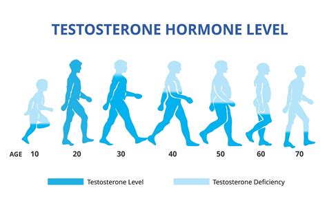 testosterone level how does it impact fertility for men