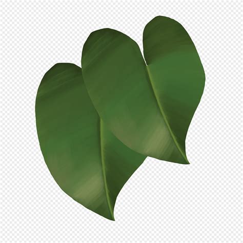 Heart Shaped Leaves Images Hd Pictures For Free Vectors Download