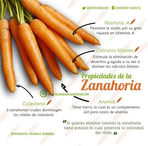 Propiedades De La Zanahoria Razones Para Consumir Zanahoria