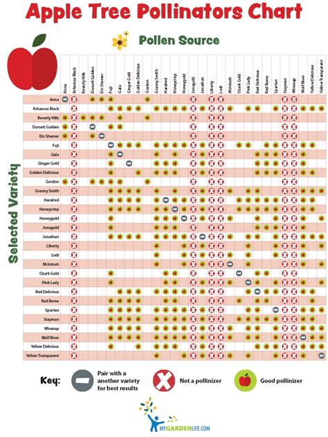 Fruit tree pollination can seem a bit mysterious at first so we've put together the following notes to help explain it. Pollination Charts for Fruit-bearing Trees and Shrubs | My ...