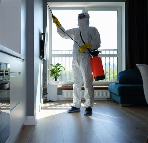 How To Prepare Your Home For Pest Treatment Merida Pest Control
