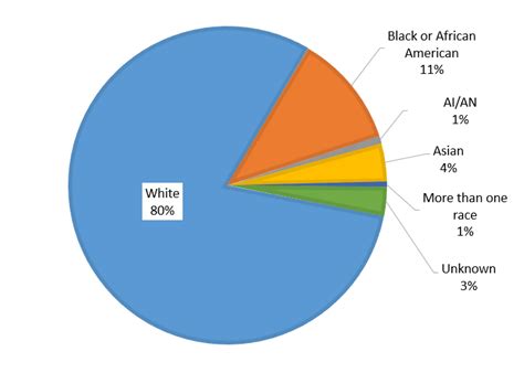 Us Race Pie Chart Best Picture Of Chart Anyimage Org