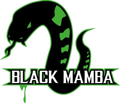 Black Mamba by TheNemetrix on DeviantArt png image