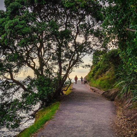 Rotorua And The Bay Of Plenty Travel Lonely Planet New Zealand