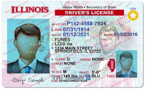 Free Printable Blank Illinois Drivers License Template Printable Word