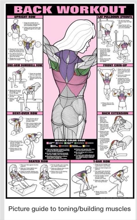 The muscles of the shoulder and back chart shows how the many layers of muscle in the shoulder and back are intertwined with the other relevant systems and muscles in adjacent areas like the spine and neck. Diagram of exercises that target specific upper back ...