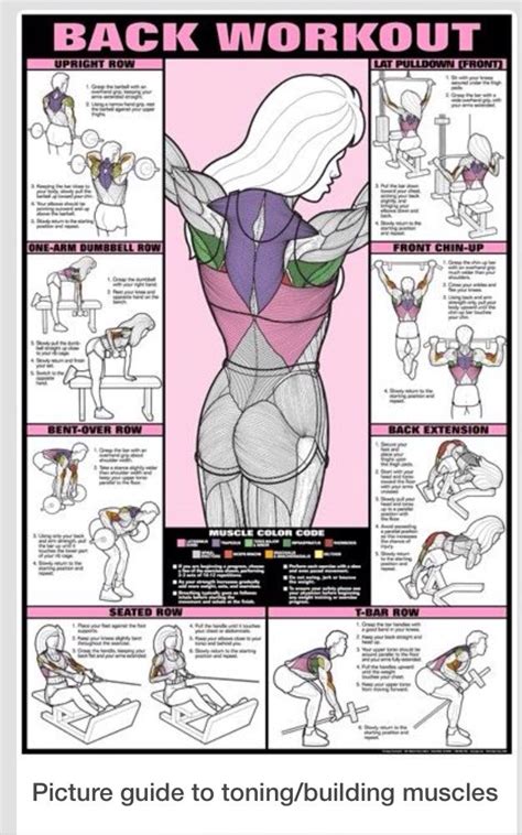This article looks at the anatomy of the back, including bones, muscles, and nerves. Diagram of exercises that target specific upper back ...