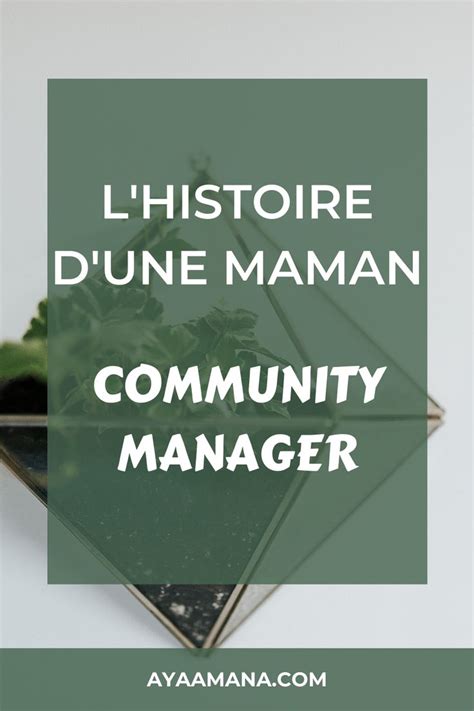 Lhistoire Dune Maman Community Manager Livres Business Formation