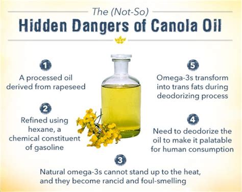 What Is Canola Oil Your Path To Wellness