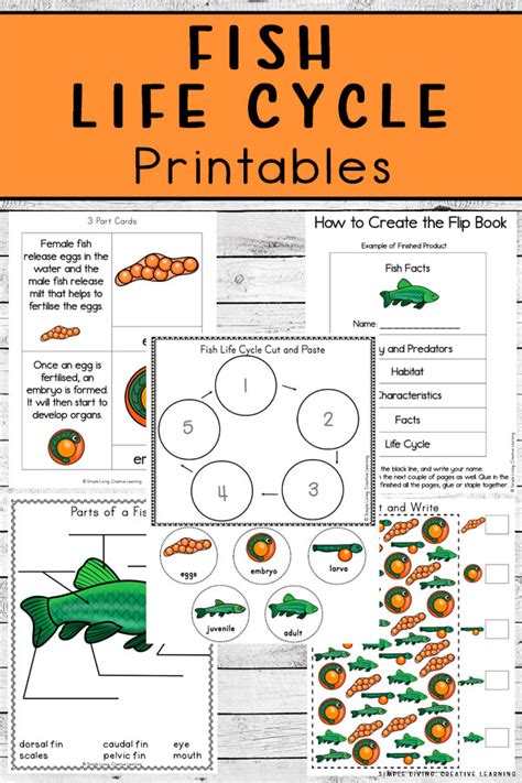 Fish Life Cycle Printables Simple Living Creative Learning