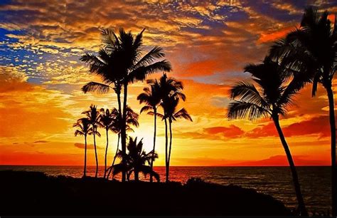 Tropical Sunset ~ Wailea Maui Hawaii Photo ~ Janine Russell