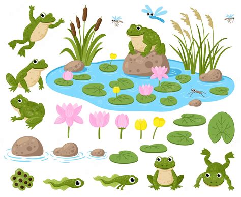 Premium Vector Cartoon Frogs Cute Amphibian Mascots Frogspawn
