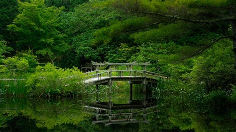 Download Reflection Green River Forest Man Made Bridge 4k Ultra Hd