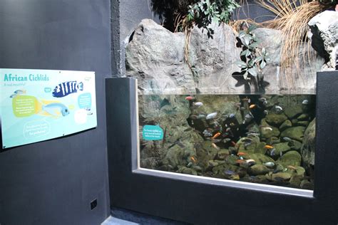 National Aquarium Napier Species List March 2021 National Aquarium