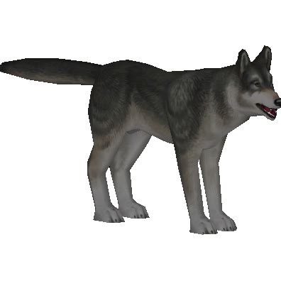 Dire Wolf (JVM) | ZT2 Download Library Wiki | FANDOM powered by Wikia