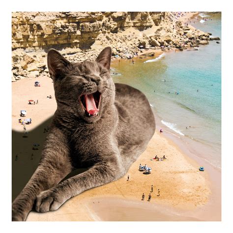 Beach Cat Wall Art Unusual Cat Art Funny Cat Lover Birthday Etsy