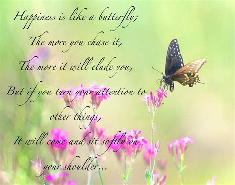 Butterfly Happiness Inspirational Words Happines Quote Of The Day
