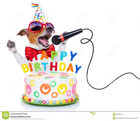 Silly Happy Birthday Clipart 343px Image 3