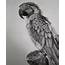 Incredibly Detailed Graphite Drawings Of People Animals & Everyday 