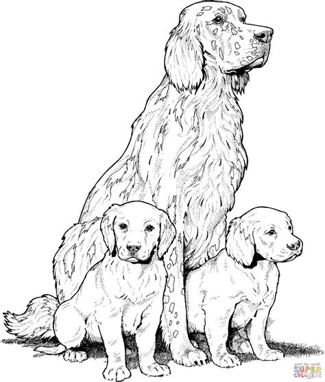 Malowanki Pies Kolorowanka Labrador Retriever Ze Szczeniakami