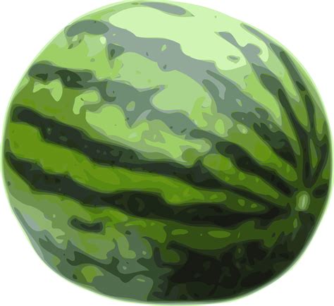 Free Watermelon Png Transparent Images Download Free Watermelon Png