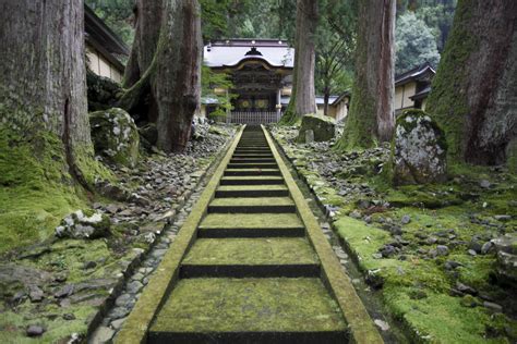 Japans Rural Temples See The Light In Luxury Tourism The Japan Times