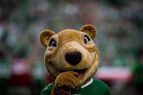 Roughriders mascot Gainer the Gopher in trouble over latest antics ...
