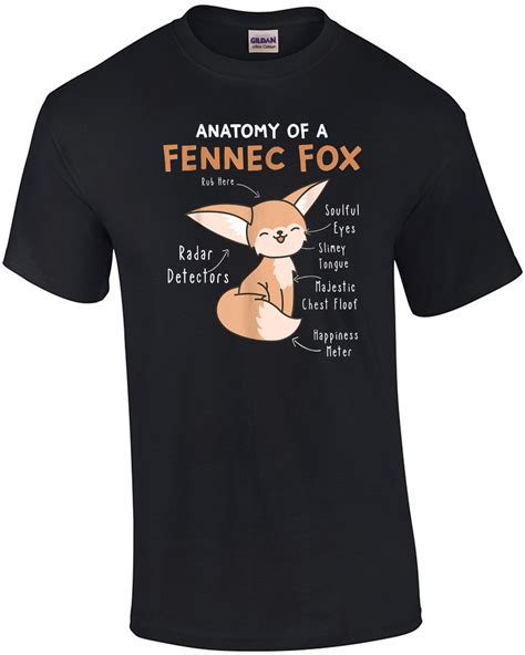 Anatomy Of A Fennec Fox Cute Fox Lover T Fennec Fox