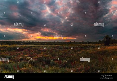 Summer Sunset In Ukrainian Steppes Ukrainian Summer Landscape Cloudy