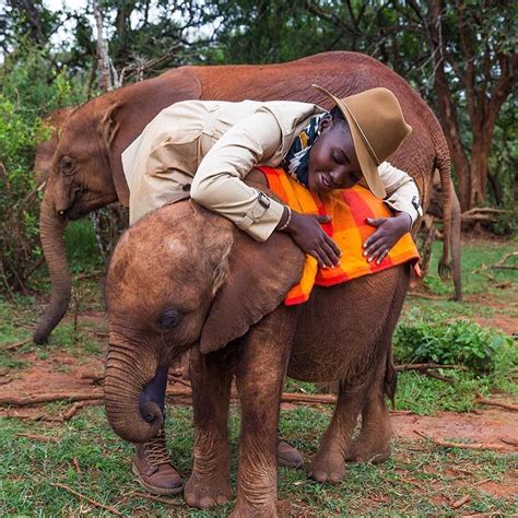Lupita Nyongo Cuddles A Baby Elephant Ifttt1vq3un5 Elephant D
