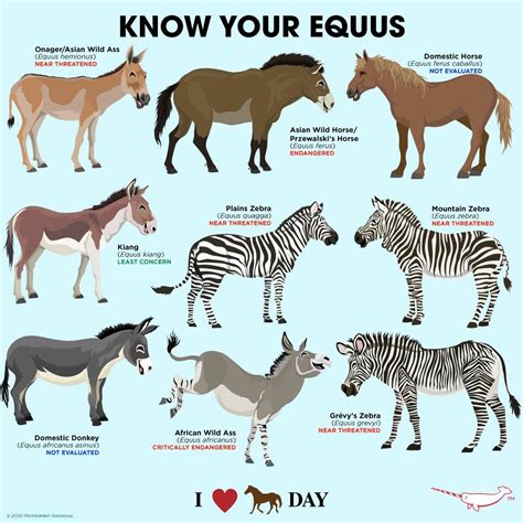 Pin by Amy Hoffman on Science | Silly animals, Interesting animals, Animals