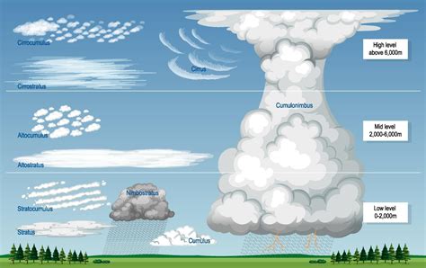 Os Diferentes Tipos De Nuvens Com Nomes E Níveis Do Céu 2906657 Vetor