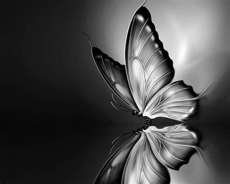Top 48 Imagen Black And White Butterfly Background Thpthoanghoatham