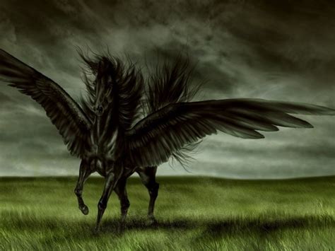 Black Winged Horse Pegasus Wallpapers And Images Wallpapers Pictures