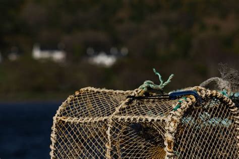 Sleat has a softer character to much of the rest of the island. ferry-inn-uig-skye-Pier-Creels - The Ferry Inn