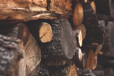 Logs For Sale Thedorsetfirewoodcompany Dorset