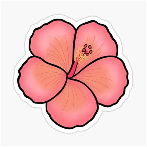 Hibiscus Flower Sticker By Maeshea Redbubble