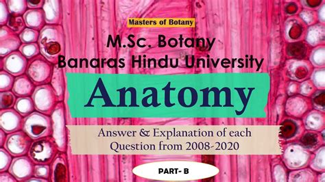 plant anatomy part b bhu m sc botany entrance exam answer and explanation [2008 2020
