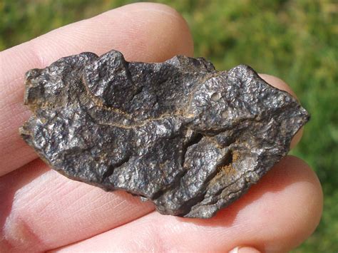 Nwa 15171 Mésosidérite 12 176 G Allmétéorite Pour La Science Et
